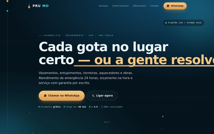 Exemplo de site de encanador 24 horas